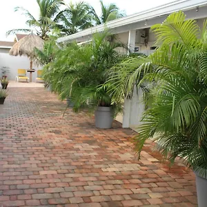 https://dancing-iguanas.comcaribbean.com